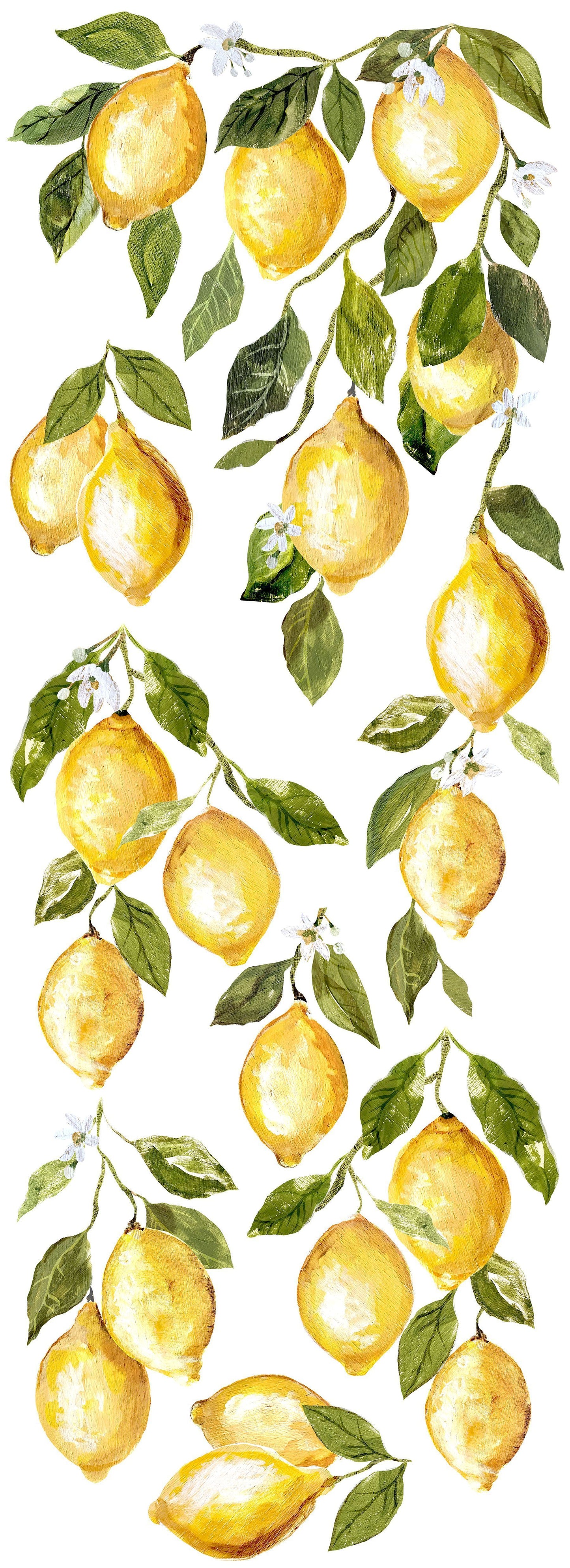 Lemon Drops