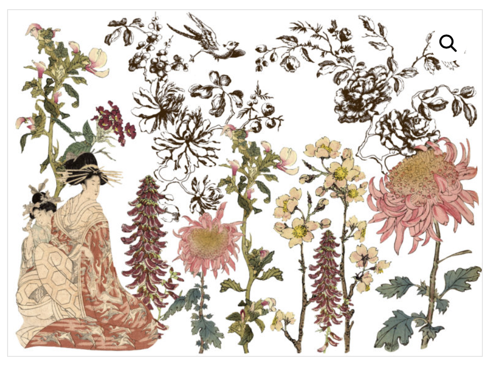 Japonica