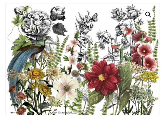 Midnight Garden Transfer